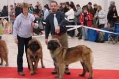 085_gwen_mvp_trencin-2