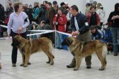 085_gwen_mvp_trencin-4