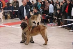 085_gwen_mvp_trencin-6