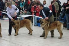 085_gwen_mvp_trencin-7