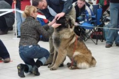 085_gwen_mvp_trencin-8