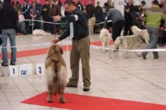 085_gwen_mvp_trencin-9