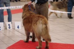 086_bard_mvp_trencin-3