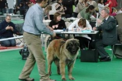 087_gwen_mvp_brno-1
