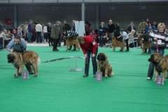 087_gwen_mvp_brno-10