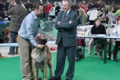 087_gwen_mvp_brno-11