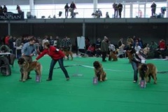 087_gwen_mvp_brno-12