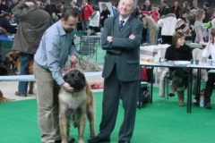 087_gwen_mvp_brno-15