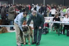 087_gwen_mvp_brno-16
