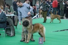 087_gwen_mvp_brno-17