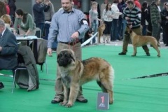 087_gwen_mvp_brno-18