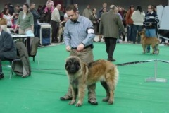 087_gwen_mvp_brno-19