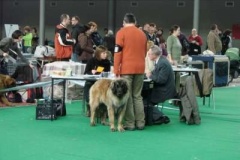 087_gwen_mvp_brno-2
