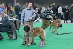 087_gwen_mvp_brno-21