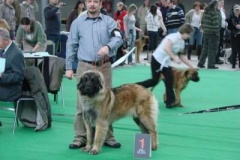 087_gwen_mvp_brno-22