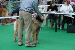 087_gwen_mvp_brno-3