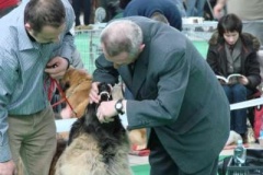 087_gwen_mvp_brno-5