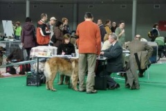 087_gwen_mvp_brno-9