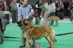 088_bard_mvp_brno-14
