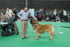 088_bard_mvp_brno-21