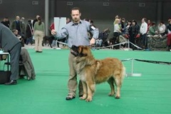 088_bard_mvp_brno-29