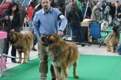 089_bard_mvp_brno-4