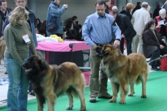 089_bard_mvp_brno-5