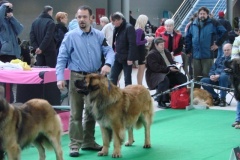 089_bard_mvp_brno-6