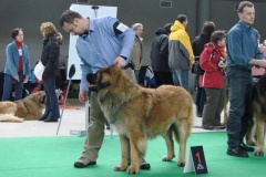 089_bard_mvp_brno-8
