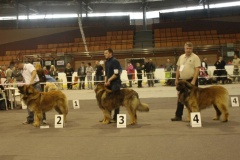 090_berd_mvp_katowice-1