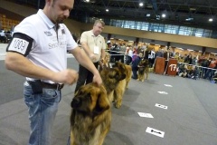 090_berd_mvp_katowice-5