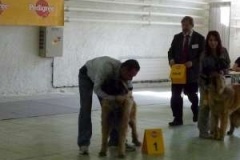 091_gwen_celostatni_vp_nitra-1