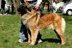 091_gwen_celostatni_vp_nitra-2