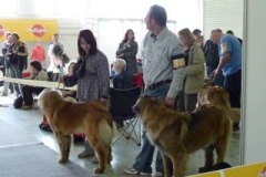 091_gwen_celostatni_vp_nitra-3