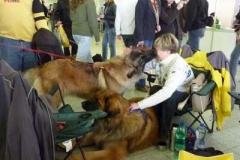 091_gwen_celostatni_vp_nitra-4