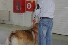 091_gwen_celostatni_vp_nitra-5