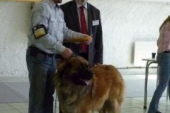 092_bard_celostatni_vp_nitra-1
