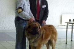 092_bard_celostatni_vp_nitra-16