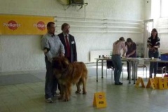 092_bard_celostatni_vp_nitra-6
