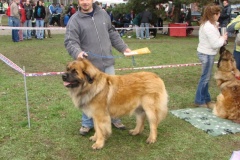 094_bard_nvp_ostrava-2