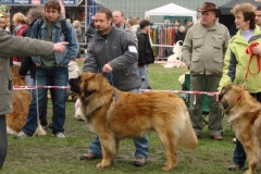 094_bard_nvp_ostrava-5