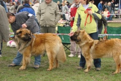 094_bard_nvp_ostrava-6