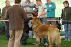 095_bard_kv_mlada_boleslav-10