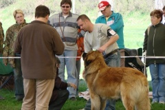 095_bard_kv_mlada_boleslav-12