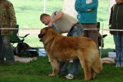 095_bard_kv_mlada_boleslav-2