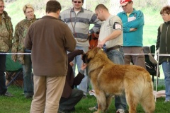 095_bard_kv_mlada_boleslav-7