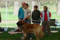 095_bard_kv_mlada_boleslav-8