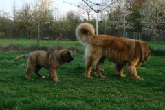 097_nove-stenatko-2