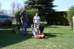 098_navsteva_clay_amad_happy_leon-10
