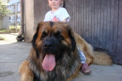 098_navsteva_clay_amad_happy_leon-13